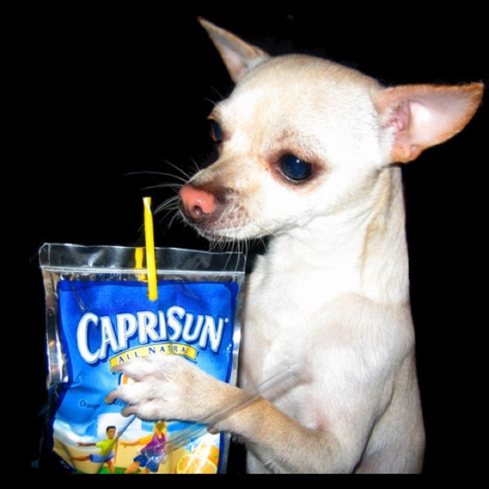 Meet your Posher, Daniel